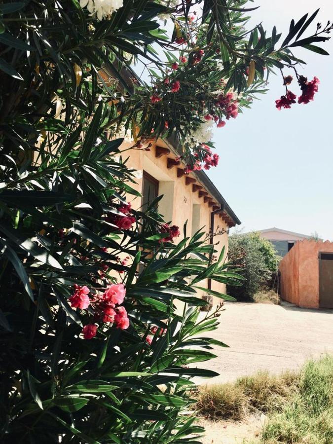 Loculi Agriturismo Funtan'Arva מראה חיצוני תמונה