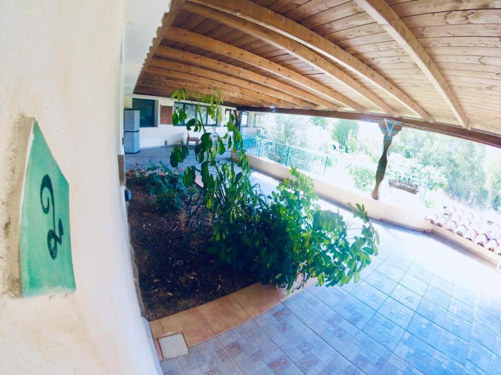 Loculi Agriturismo Funtan'Arva מראה חיצוני תמונה