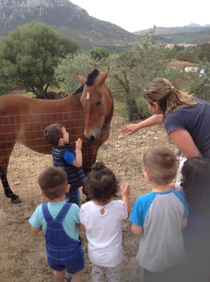 Loculi Agriturismo Funtan'Arva מראה חיצוני תמונה